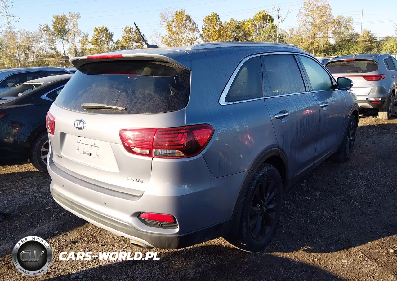 2020 Kia Sorento 3.3L Ex VIN:5XYPHDA57LG706311 - 4