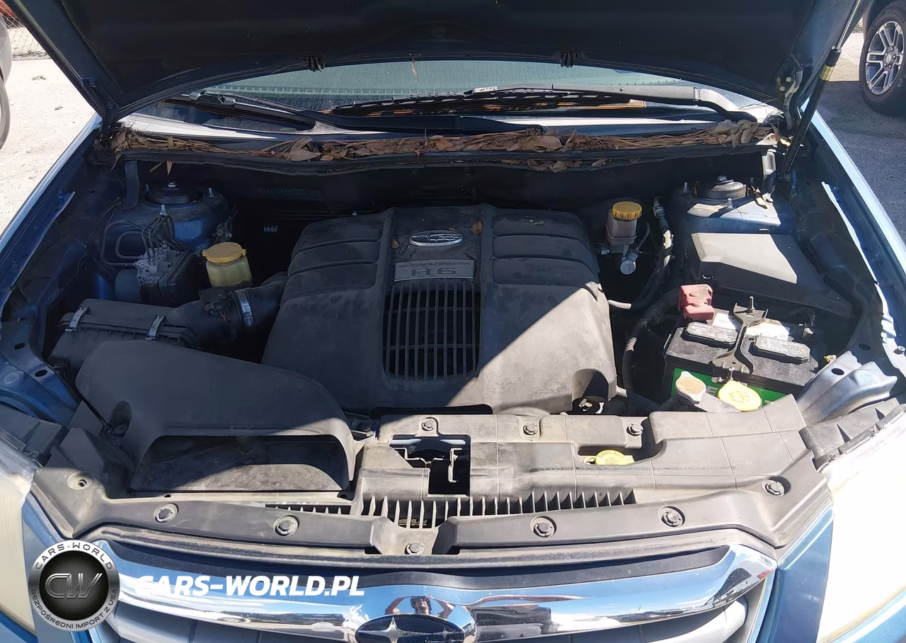 2008 Subaru Tribeca Limited 7-Passenger VIN:4S4WX97D684418937 - 10