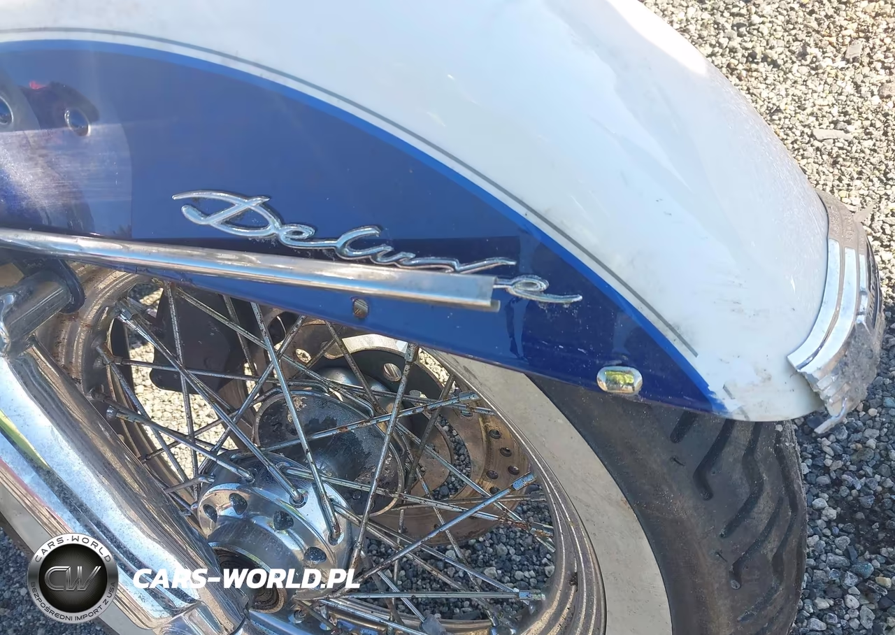 2006 Harley-Davidson Flstni VIN:1HD1JDB166Y046567 - 13