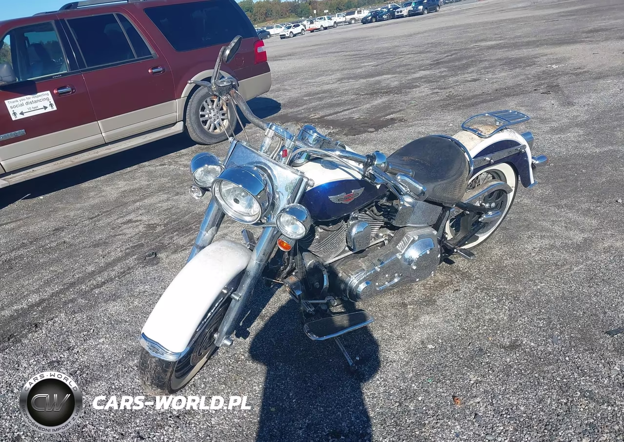 2006 Harley-Davidson Flstni VIN:1HD1JDB166Y046567 - 2
