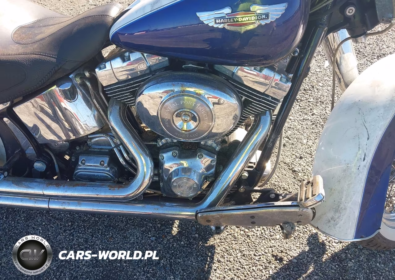 2006 Harley-Davidson Flstni VIN:1HD1JDB166Y046567 - 8