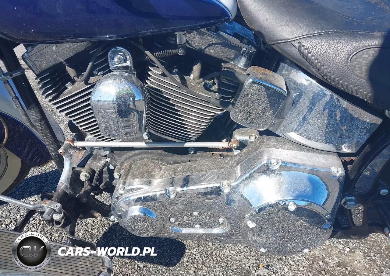 2006 Harley-Davidson Flstni VIN:1HD1JDB166Y046567 - 9