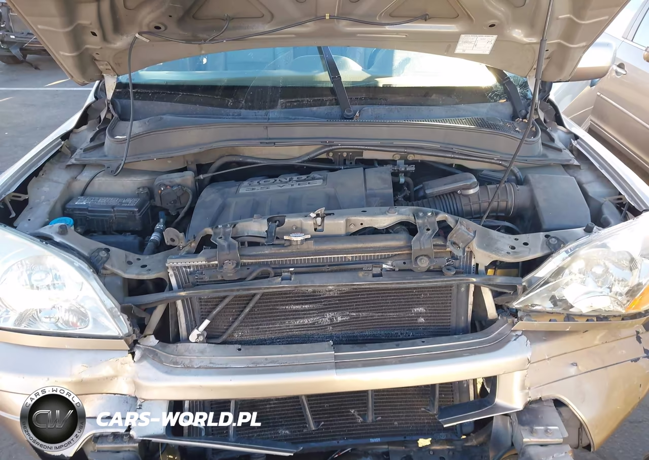 2005 Honda Pilot Ex-L VIN:2HKYF18515H573846 - 10