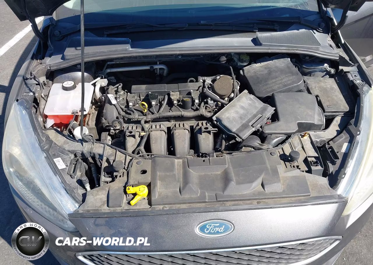2015 Ford Focus Se VIN:1FADP3F20FL262878 - 10