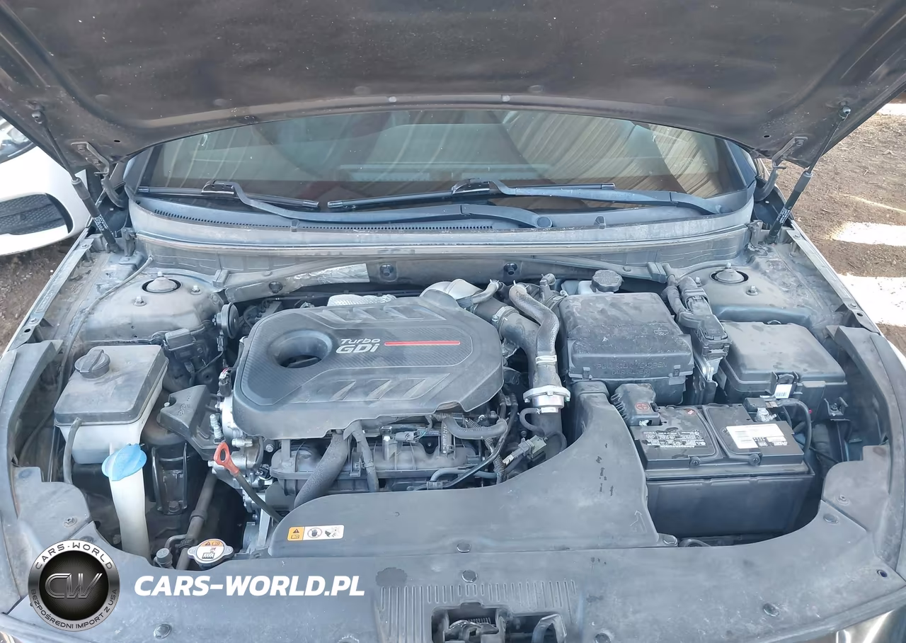 2017 Hyundai Sonata Sport 2.0T VIN:5NPE34AB9HH568153 - 10