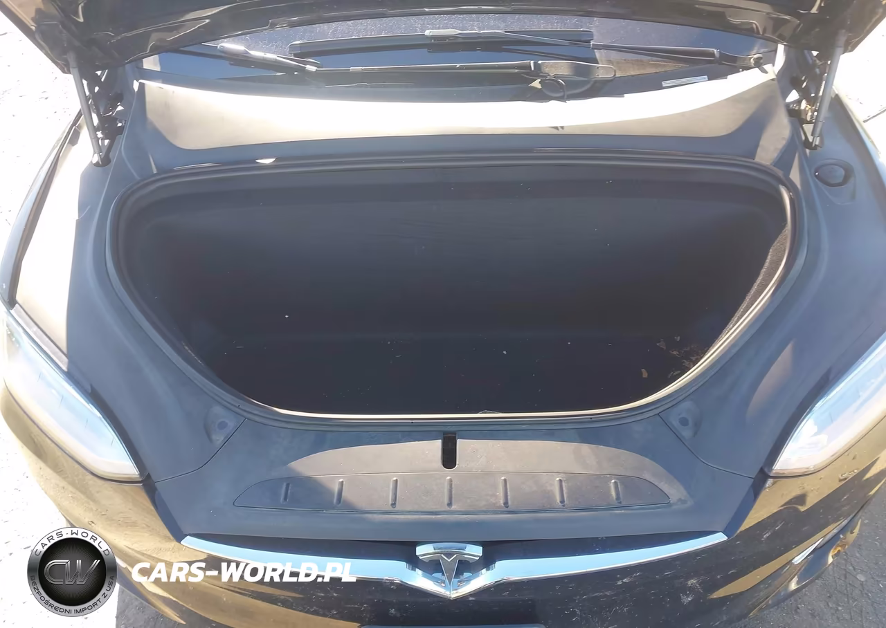 2020 Tesla Model X Long Range Dual Motor All-Wheel Drive-Long Range Plus Dual Motor All-Wheel Drive VIN:5YJXCAE20LF262662 - 10
