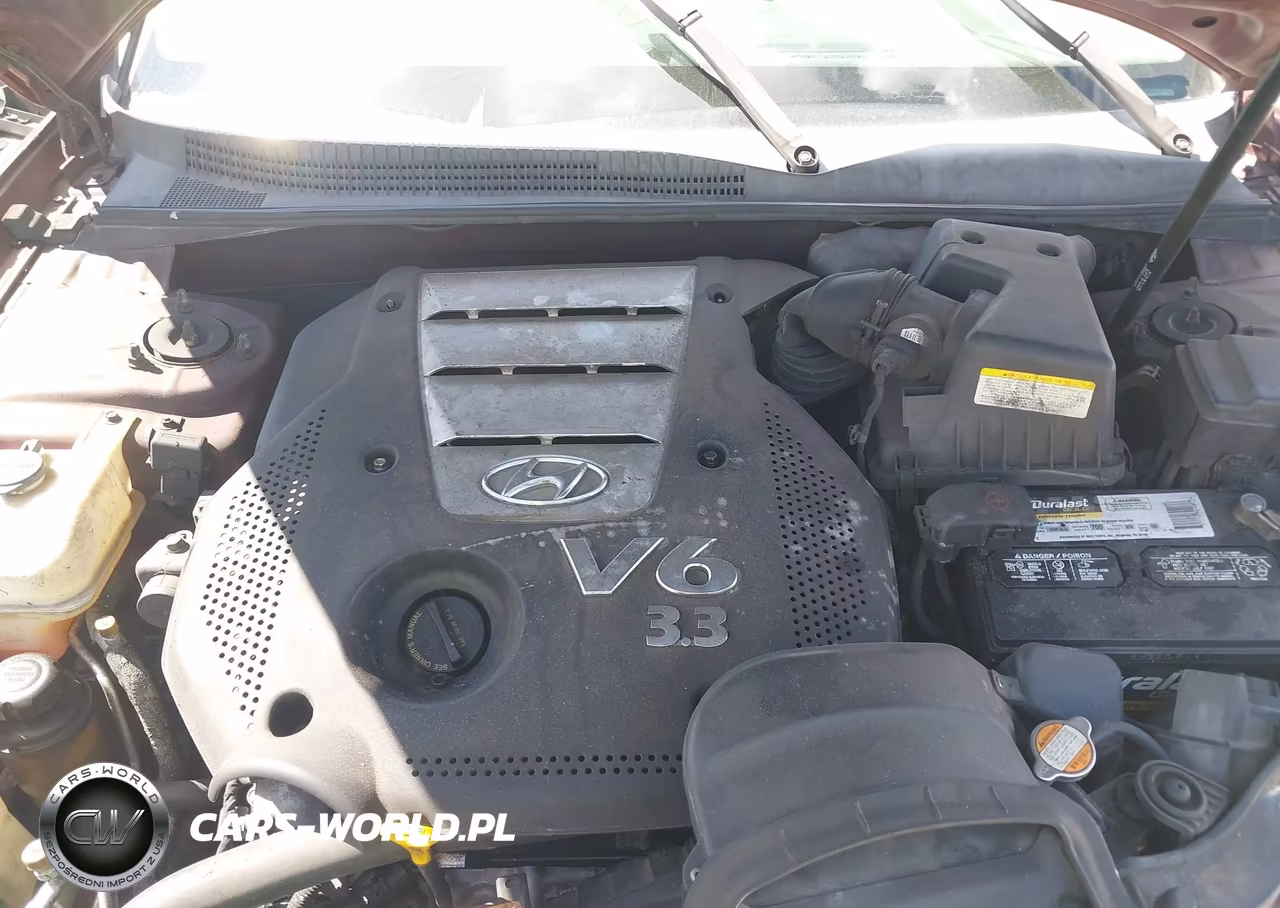 2007 Hyundai Sonata Limited-Se V6 VIN:5NPEU46FX7H257550 - 10