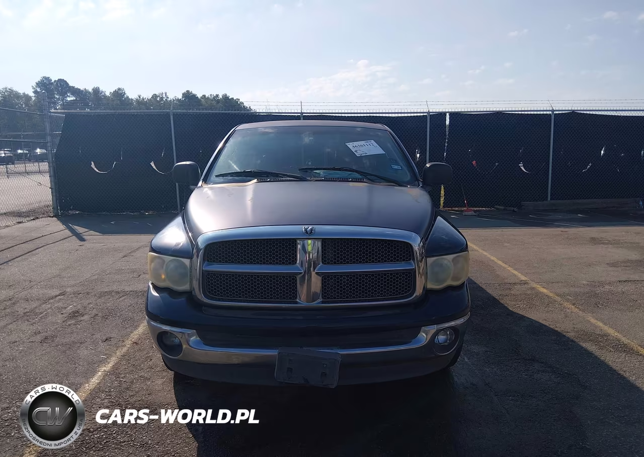 2002 Dodge Ram 1500 St VIN:1B7HA18Z22J109839 - 12
