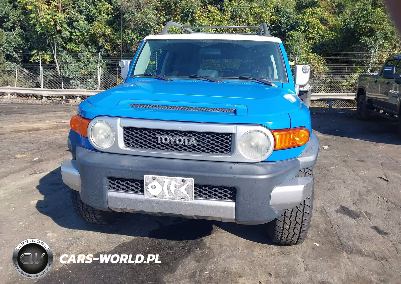 2007 Toyota Fj Cruiser VIN:JTEBU11F970048589 - 12
