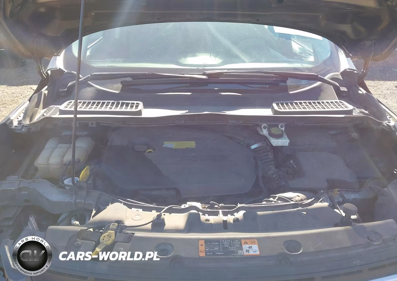 2015 Ford Escape Se VIN:1FMCU0GX1FUA18198 - 10