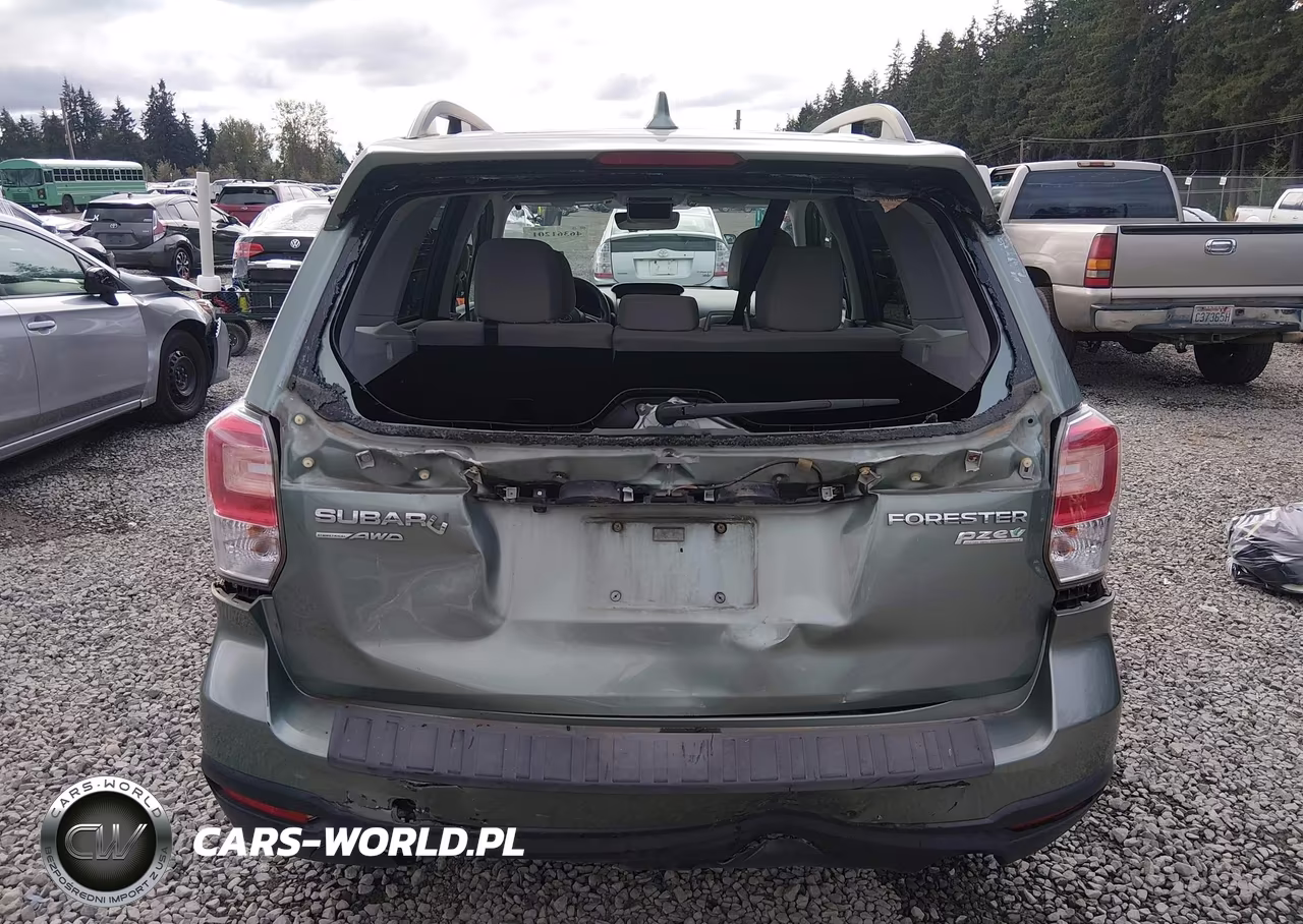 2017 Subaru Forester 2.5I Premium VIN:JF2SJAEC4HH458671 - 16