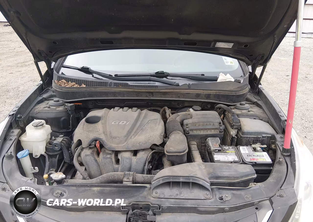 2014 Hyundai Sonata Gls VIN:5NPEB4AC1EH831145 - 10