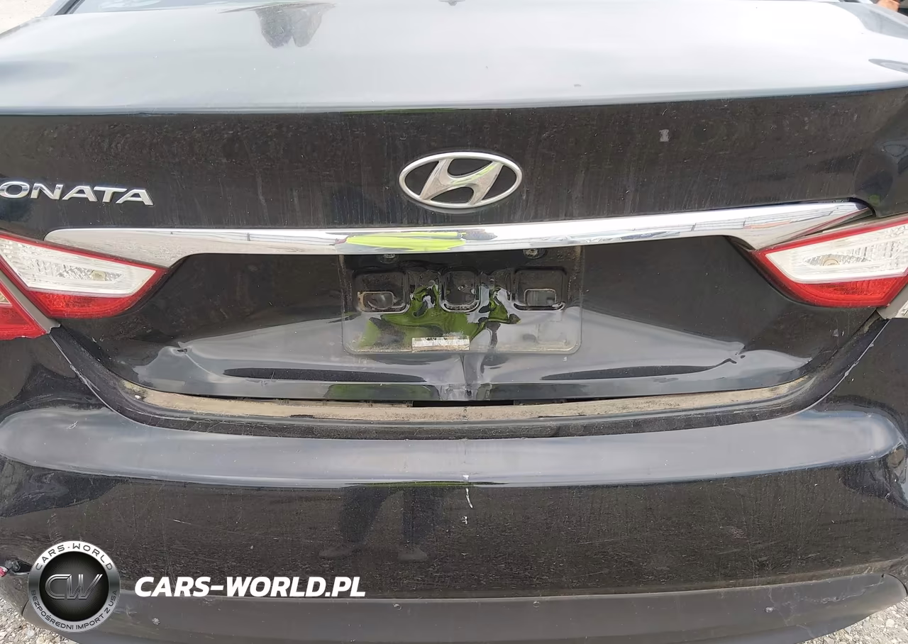 2014 Hyundai Sonata Gls VIN:5NPEB4AC1EH831145 - 13