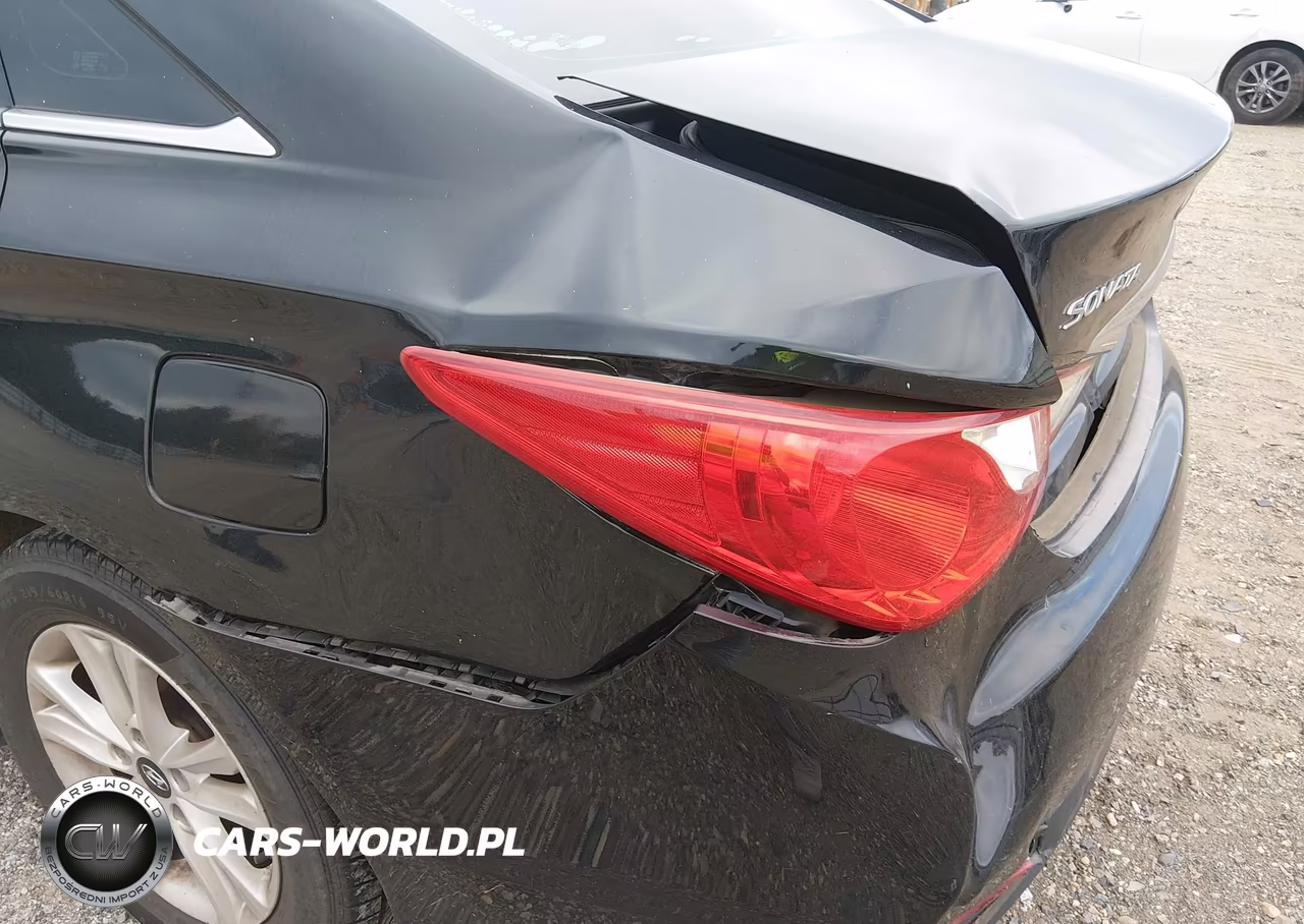2014 Hyundai Sonata Gls VIN:5NPEB4AC1EH831145 - 14