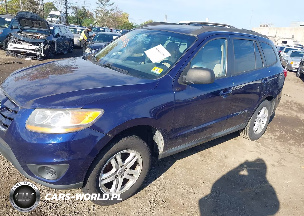 2010 Hyundai Santa Fe Gls VIN:5NMSGDAB9AH382364 - 2