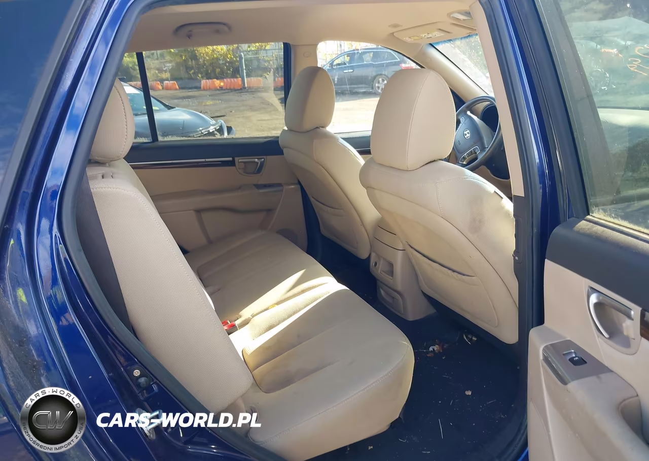 2010 Hyundai Santa Fe Gls VIN:5NMSGDAB9AH382364 - 8