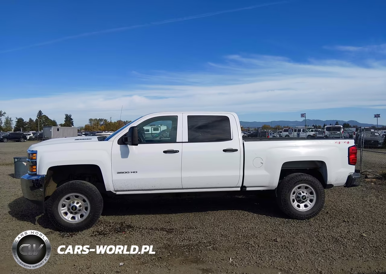 2017 Chevrolet Silverado 3500Hd Wt VIN:1GC4KYCY8HF218885 - 19