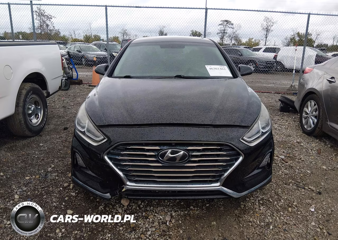 2019 Hyundai Sonata Se VIN:5NPE24AF7KH799680 - 12