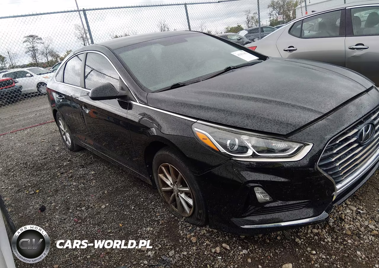 2019 Hyundai Sonata Se VIN:5NPE24AF7KH799680 - 13