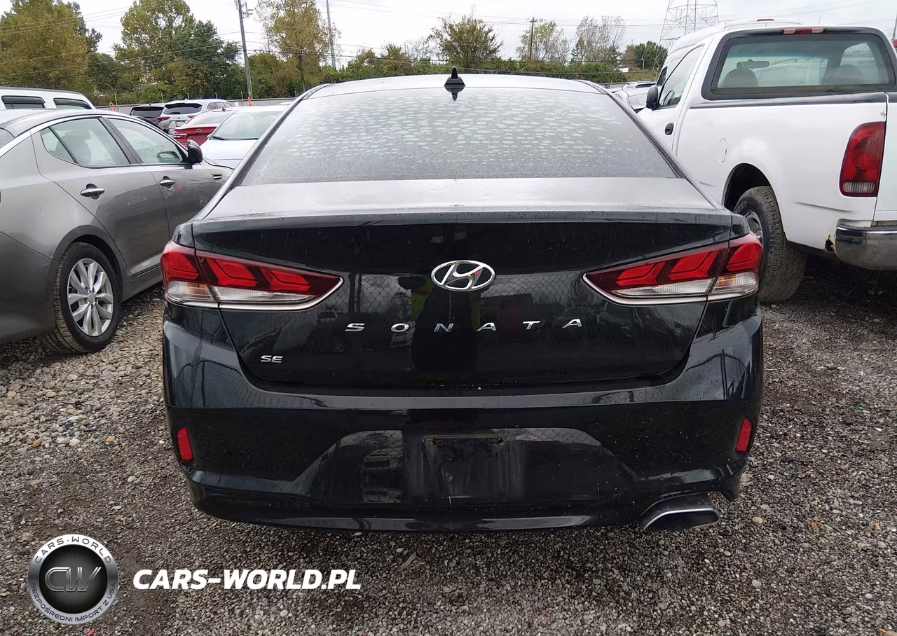 2019 Hyundai Sonata Se VIN:5NPE24AF7KH799680 - 16