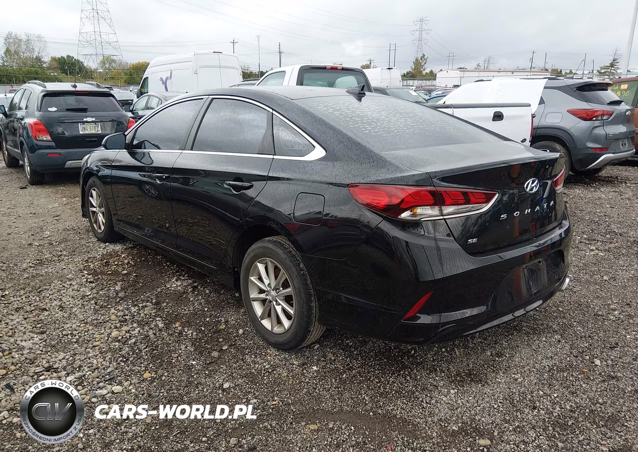 2019 Hyundai Sonata Se VIN:5NPE24AF7KH799680 - 3