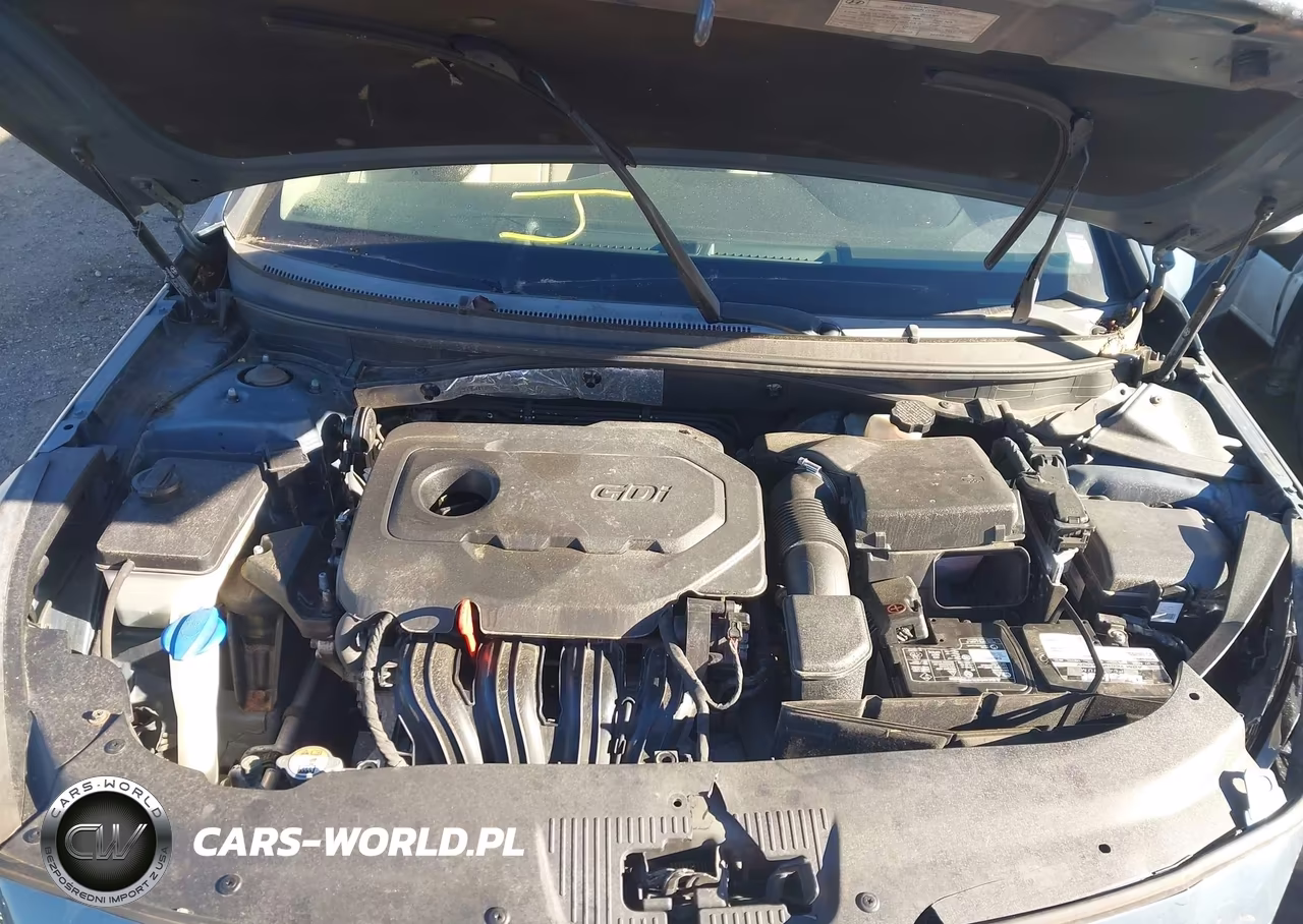 2015 Hyundai Sonata Se VIN:5NPE24AF2FH083484 - 10
