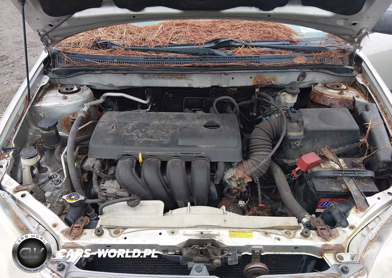 2004 Toyota Corolla Ce VIN:JTDBR32EX42048334 - 10