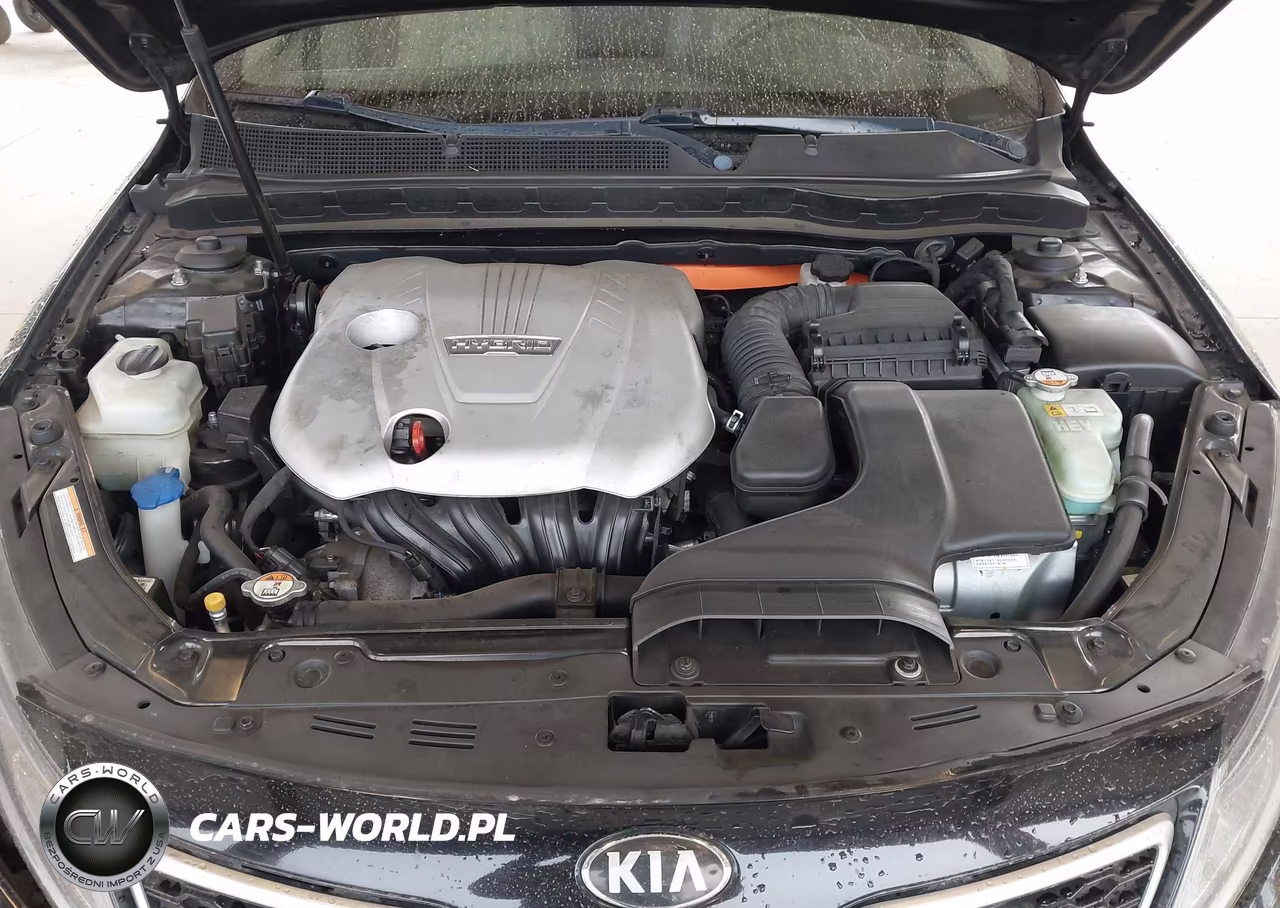 2012 Kia Optima Hybrid Ex VIN:KNAGM4AD6C5035321 - 10
