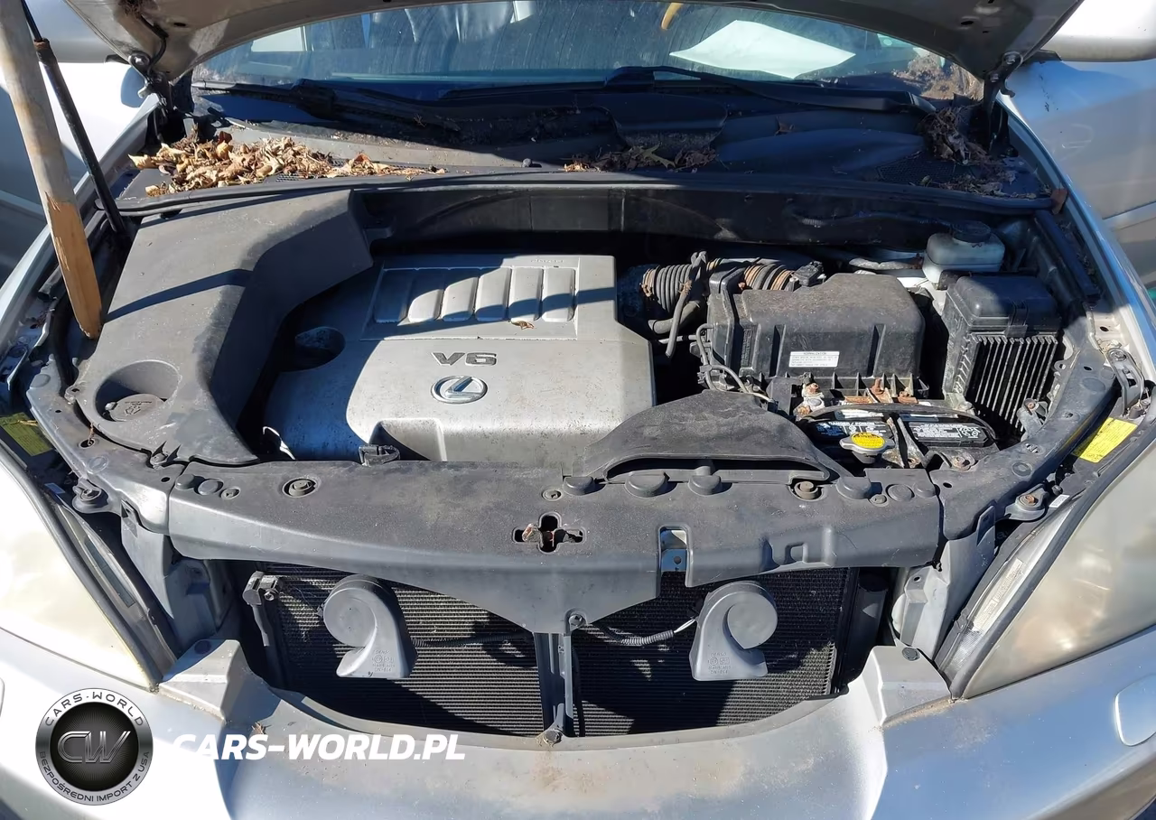 2007 Lexus Rx 350 VIN:2T2HK31UX7C030067 - 10