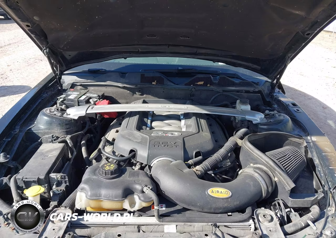 2011 Ford Mustang Gt Premium VIN:1ZVBP8CF0B5104221 - 10