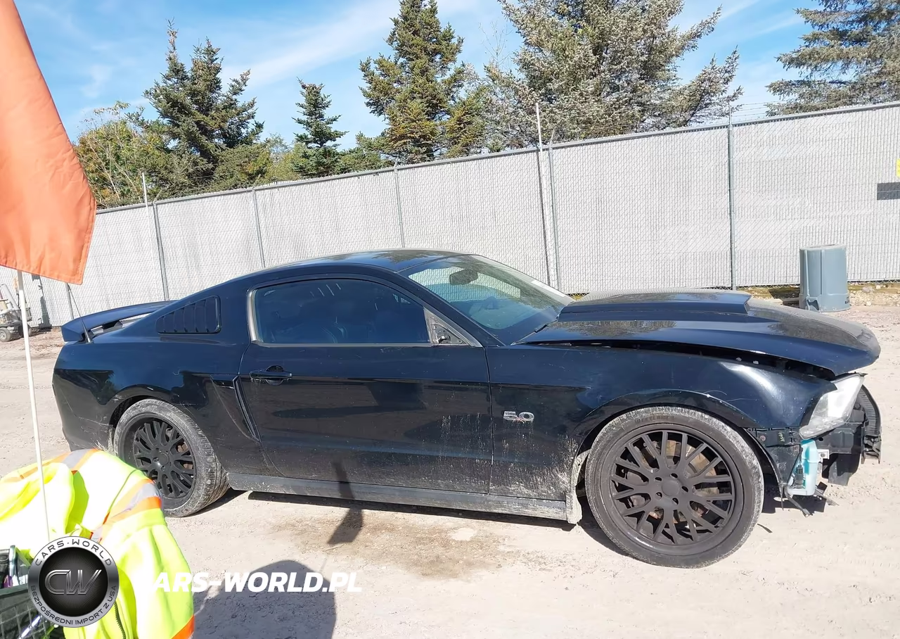 2011 Ford Mustang Gt Premium VIN:1ZVBP8CF0B5104221 - 13