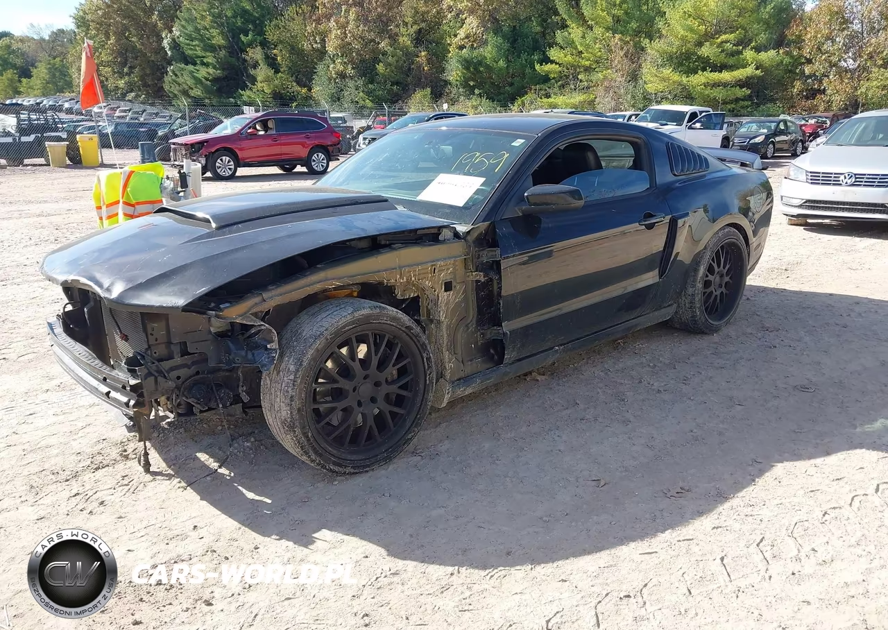 2011 Ford Mustang Gt Premium VIN:1ZVBP8CF0B5104221 - 2