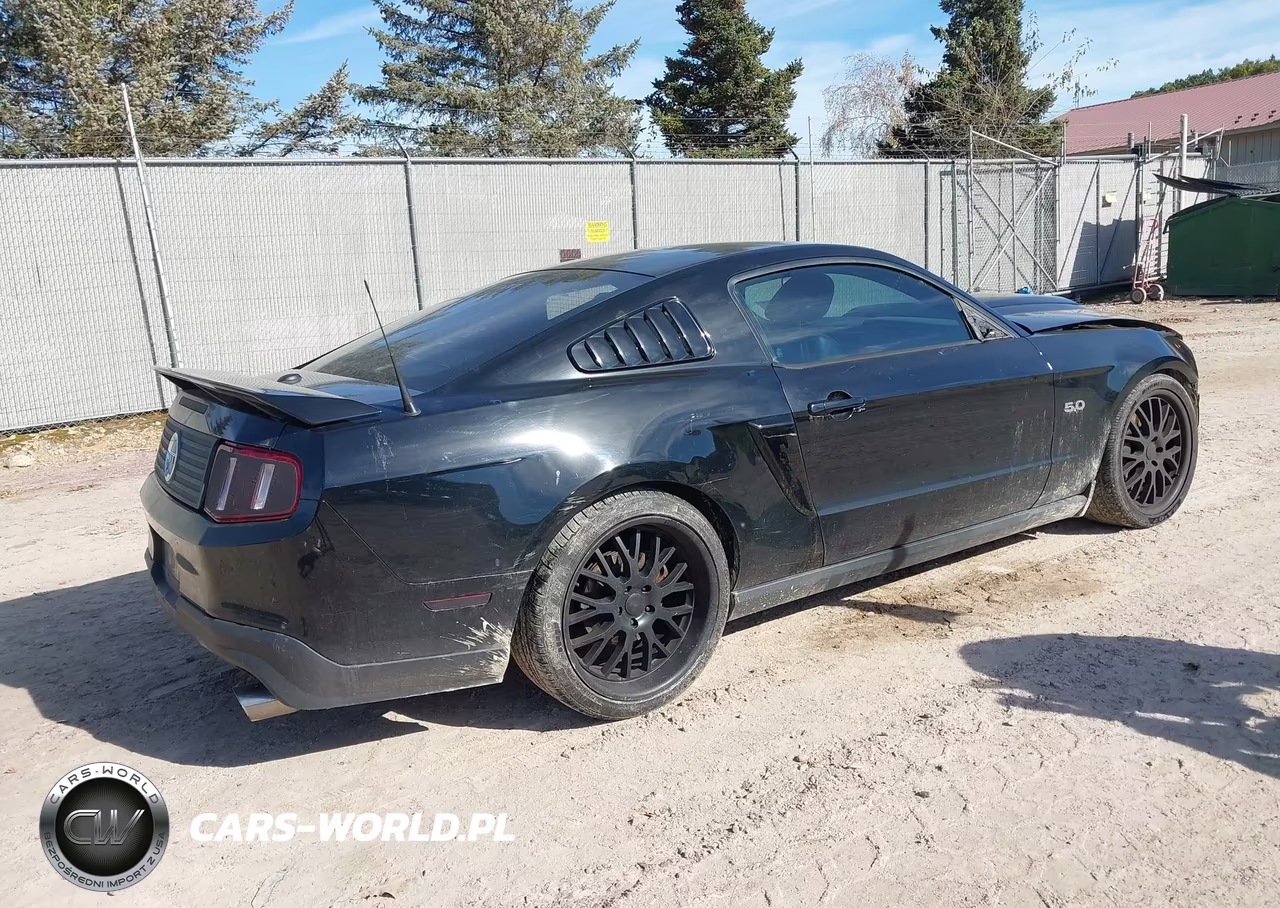 2011 Ford Mustang Gt Premium VIN:1ZVBP8CF0B5104221 - 4