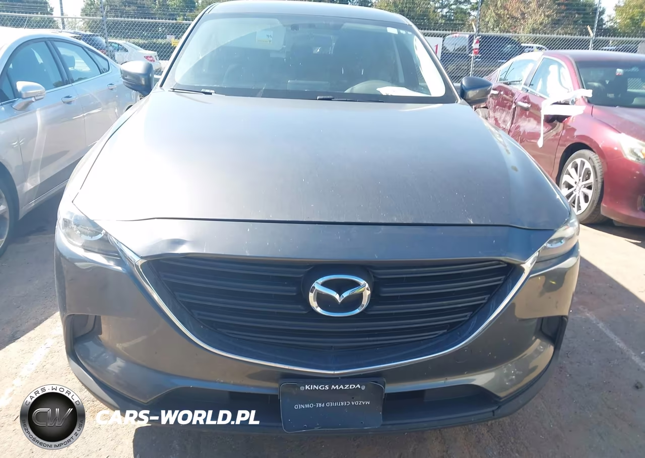 2017 Mazda Cx-9 Sport VIN:JM3TCBBY9H0139517 - 12
