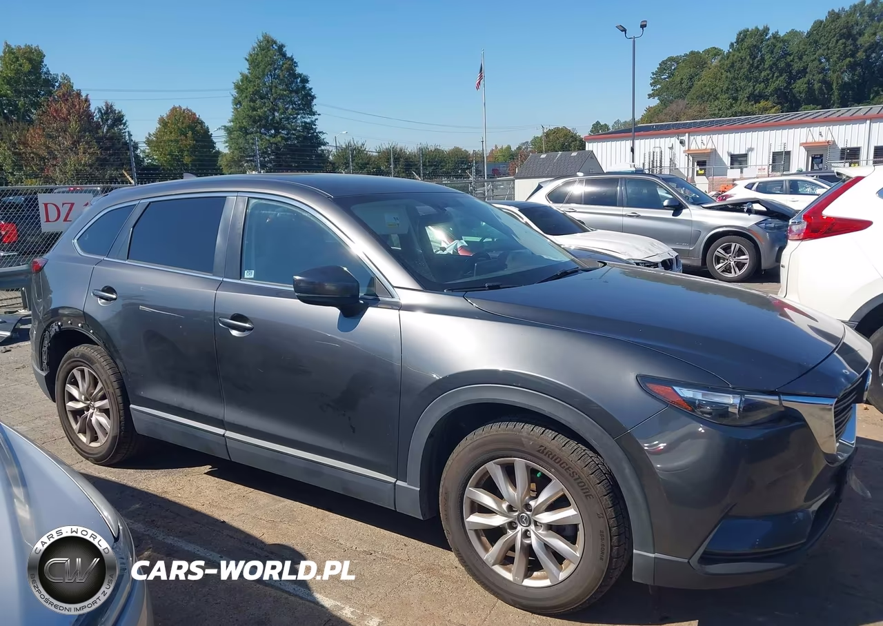 2017 Mazda Cx-9 Sport VIN:JM3TCBBY9H0139517 - 13