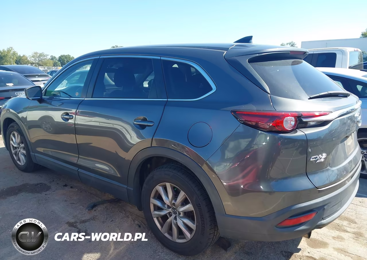 2017 Mazda Cx-9 Sport VIN:JM3TCBBY9H0139517 - 14