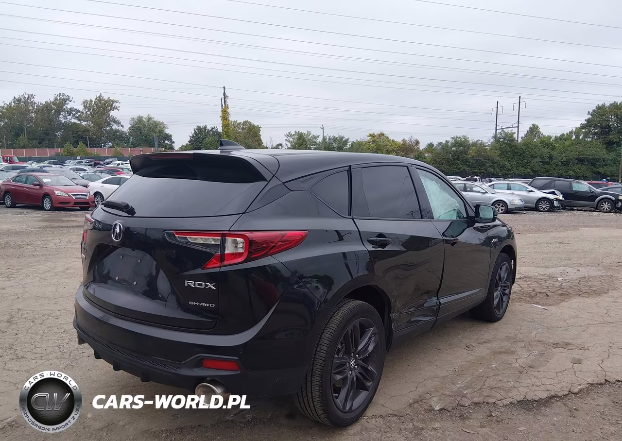 2019 Acura Rdx A-Spec Package VIN:5J8TC2H65KL014407 - 4