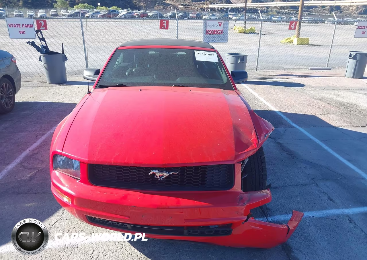 2005 Ford Mustang VIN:1ZVHT84N655203240 - 13