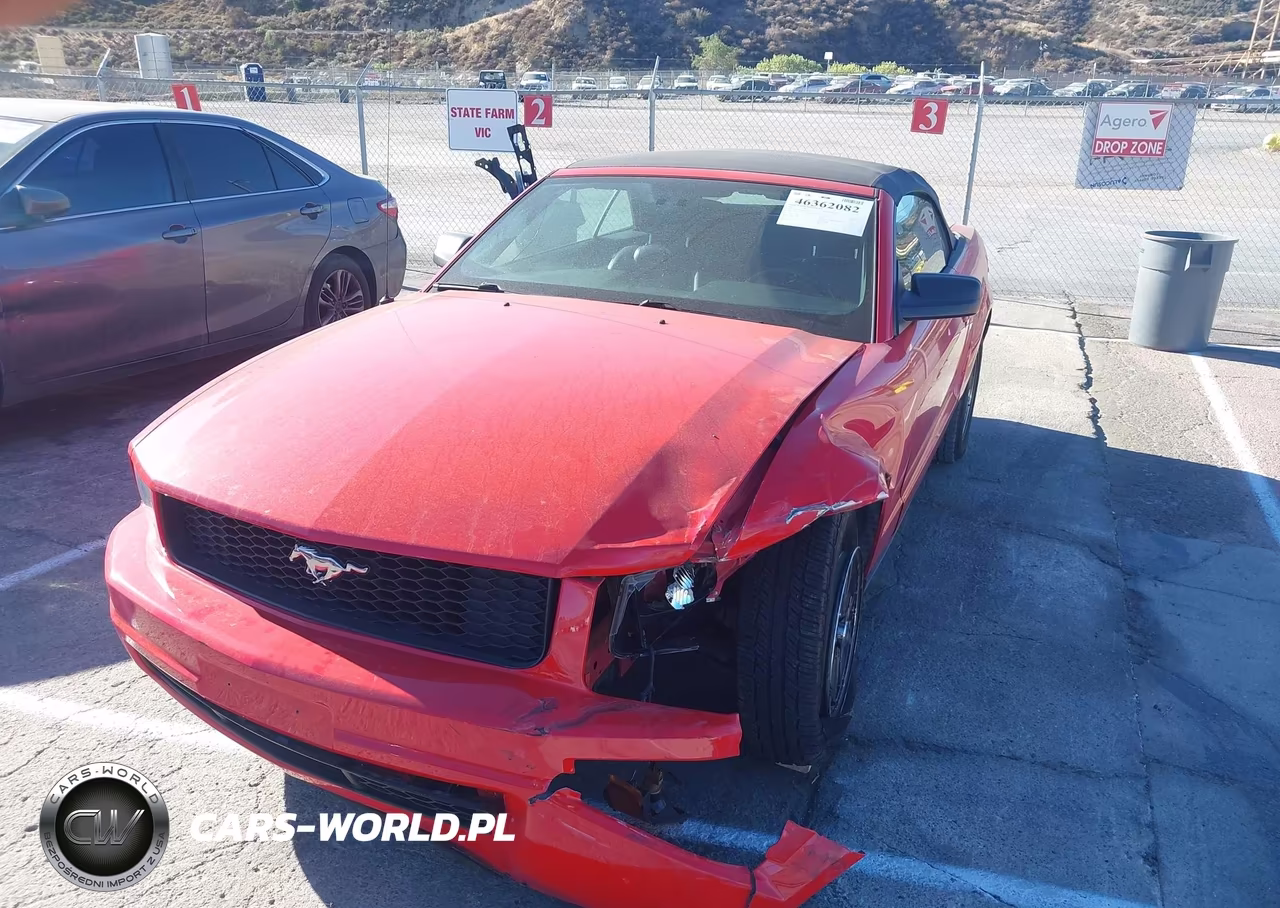 2005 Ford Mustang VIN:1ZVHT84N655203240 - 2