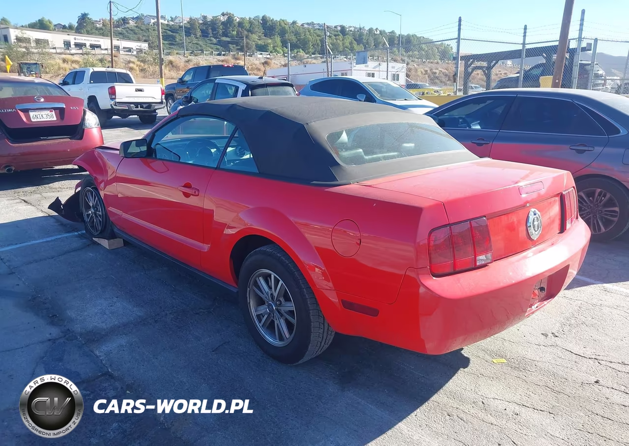 2005 Ford Mustang VIN:1ZVHT84N655203240 - 3