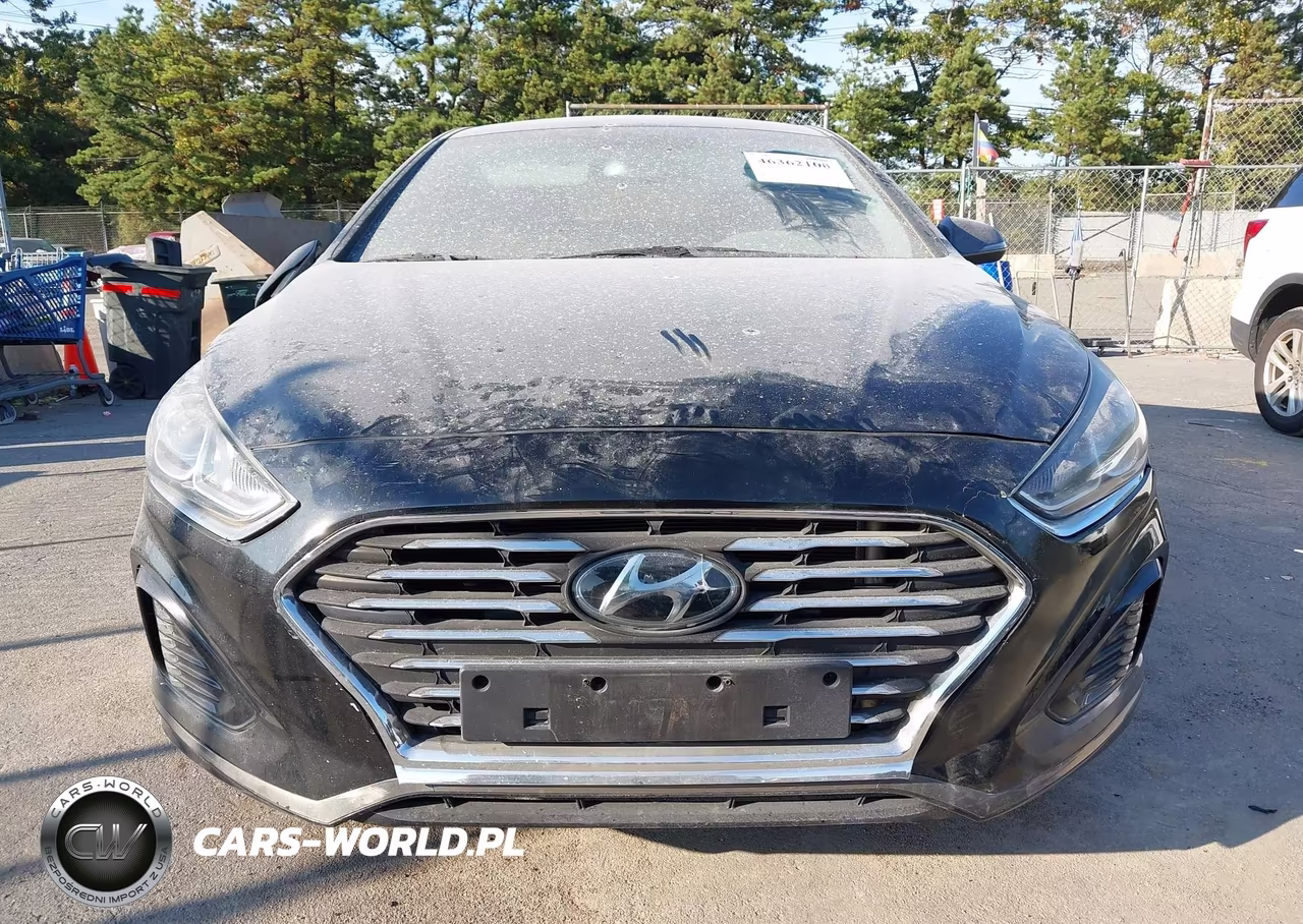 2019 Hyundai Sonata Sel VIN:5NPE34AF0KH743061 - 12