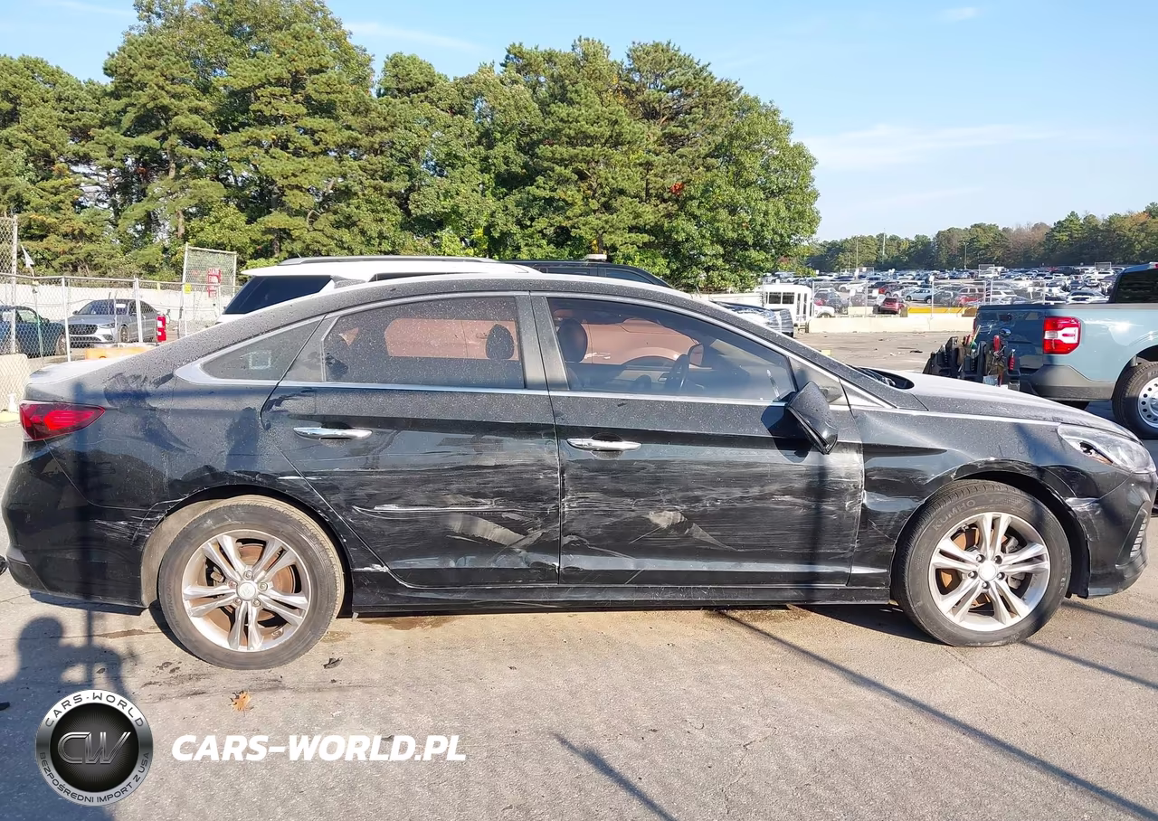 2019 Hyundai Sonata Sel VIN:5NPE34AF0KH743061 - 13