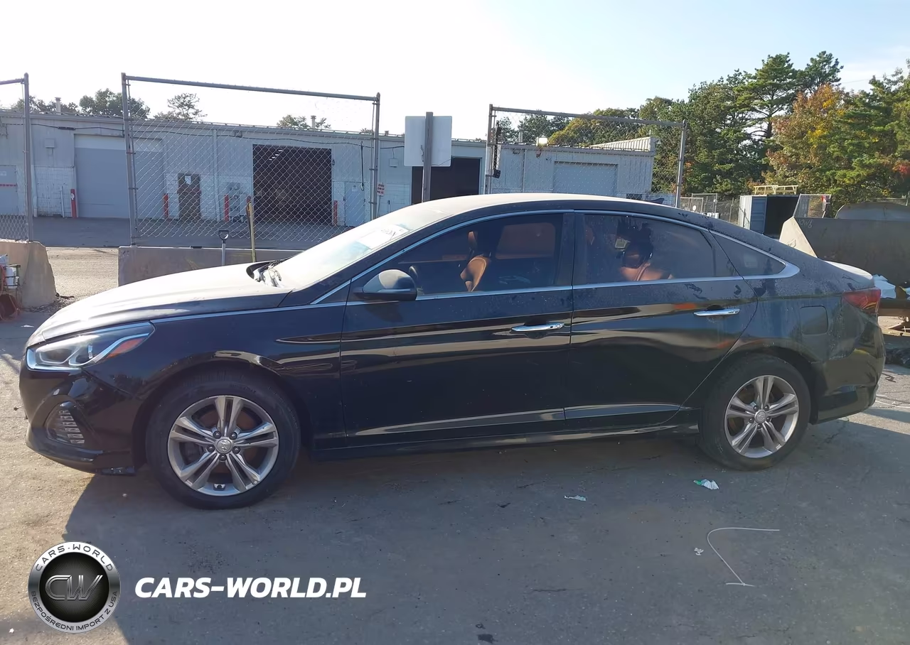 2019 Hyundai Sonata Sel VIN:5NPE34AF0KH743061 - 14