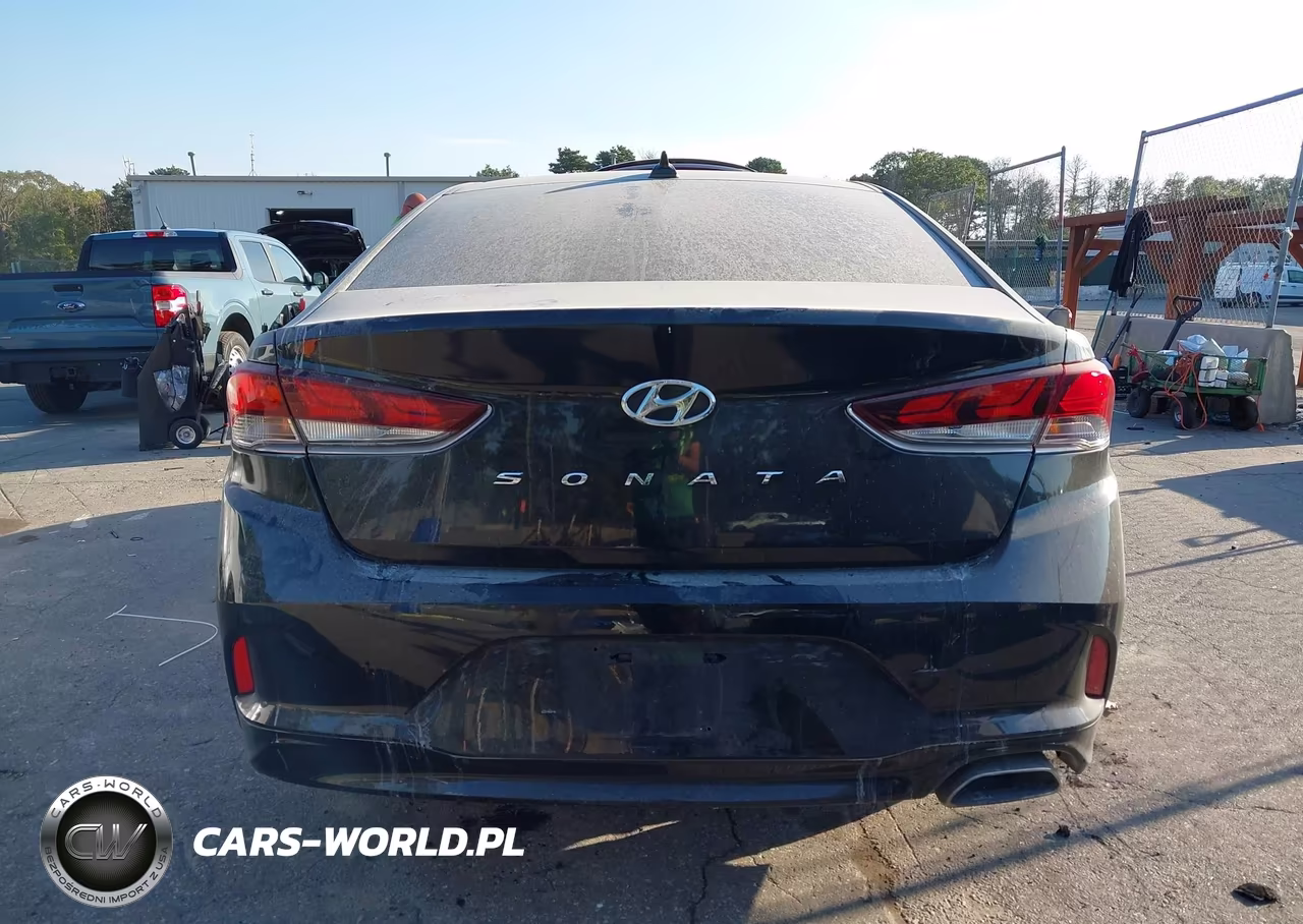 2019 Hyundai Sonata Sel VIN:5NPE34AF0KH743061 - 16