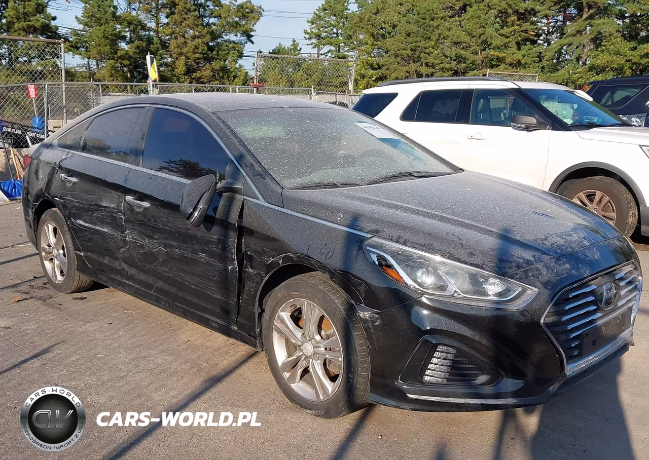 2019 Hyundai Sonata Sel VIN:5NPE34AF0KH743061 - 6