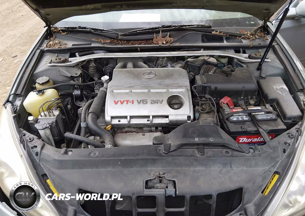 2002 Lexus Es 300 VIN:JTHBF30GX20031408 - 10