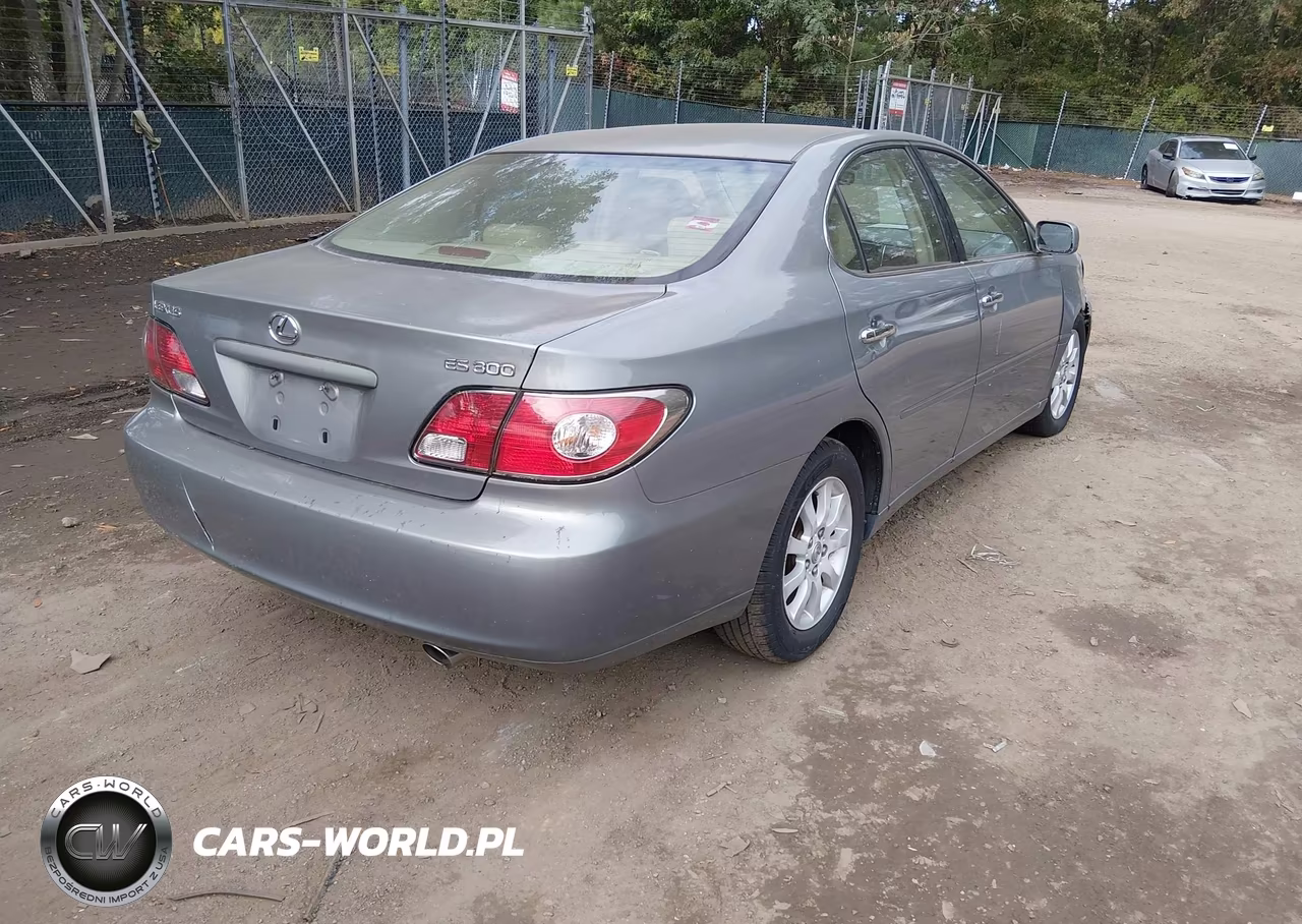 2002 Lexus Es 300 VIN:JTHBF30GX20031408 - 4