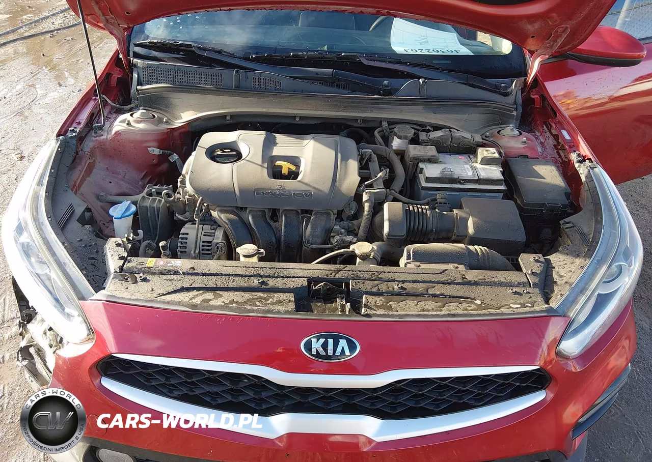 2021 KIA FORTE FE VIN:3KPF24AD3ME340253 - 10