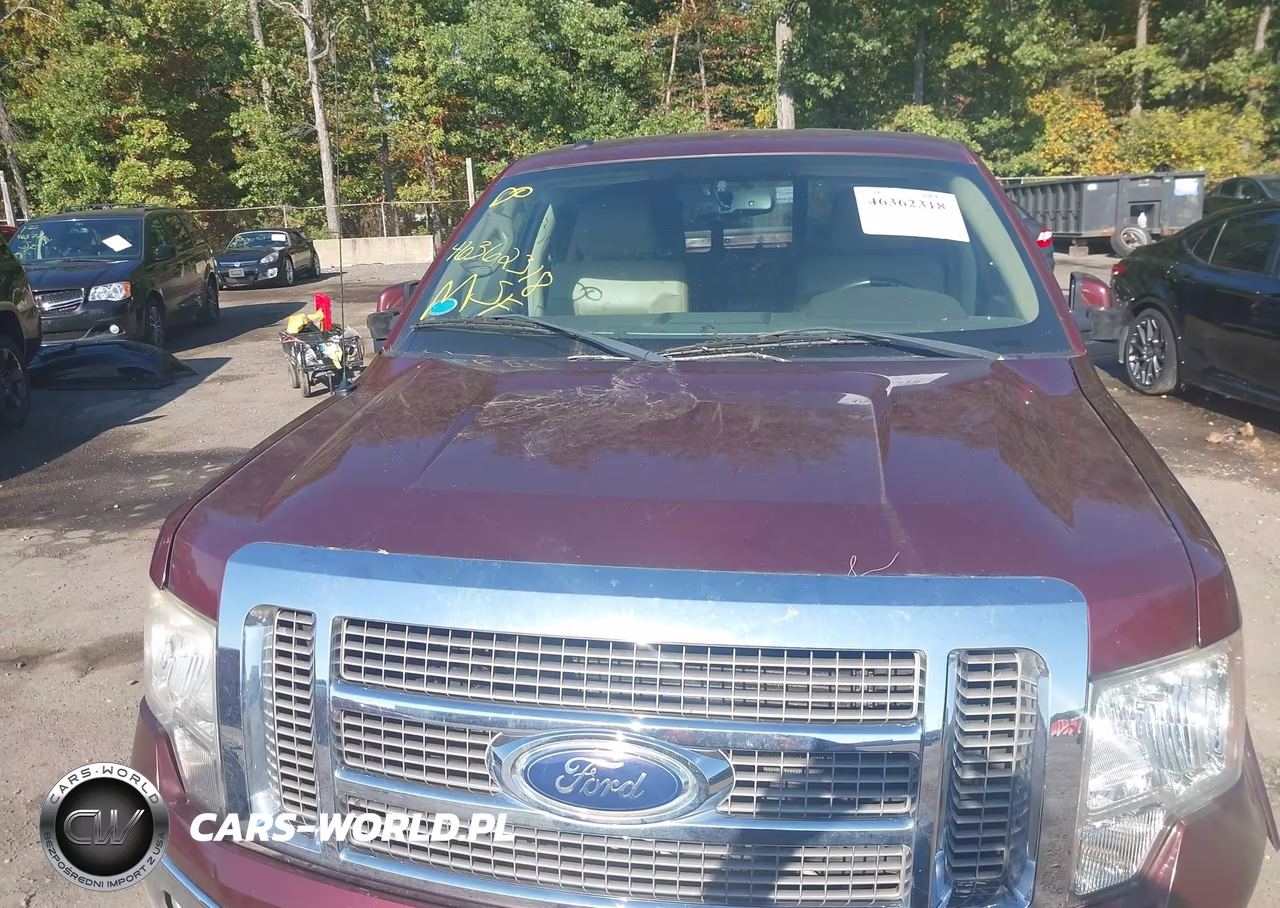 2010 Ford F-150 Fx4-Harley-Davidson-King Ranch-Lariat-Platinum-Xl-Xlt VIN:1FTFW1EV4AFC60757 - 10