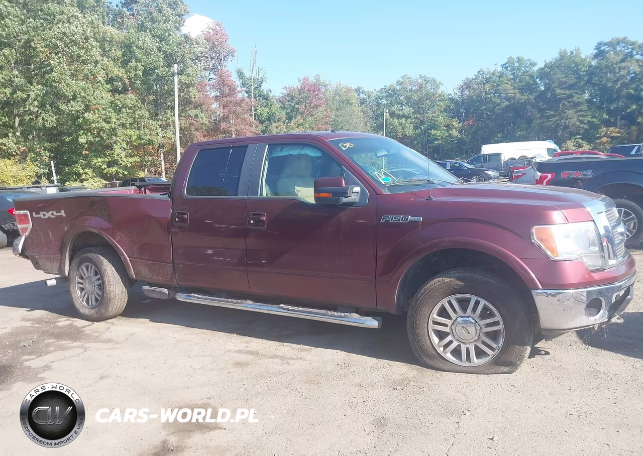 2010 Ford F-150 Fx4-Harley-Davidson-King Ranch-Lariat-Platinum-Xl-Xlt VIN:1FTFW1EV4AFC60757 - 13